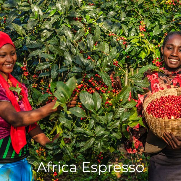 AFRICA ESPRESSO COFFEE